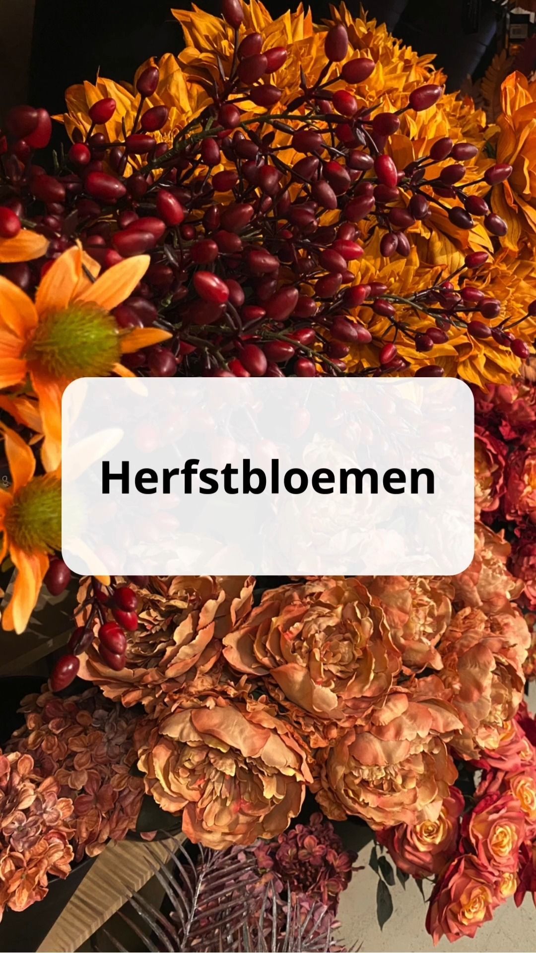 Herfstsfeer in de wink...